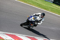 cadwell-no-limits-trackday;cadwell-park;cadwell-park-photographs;cadwell-trackday-photographs;enduro-digital-images;event-digital-images;eventdigitalimages;no-limits-trackdays;peter-wileman-photography;racing-digital-images;trackday-digital-images;trackday-photos